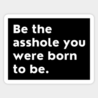 Be The Asshole You Were Born To Be. You Do You. Magnet